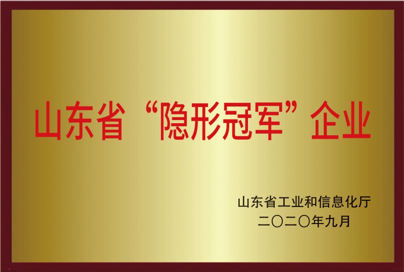 山東省隱形冠軍